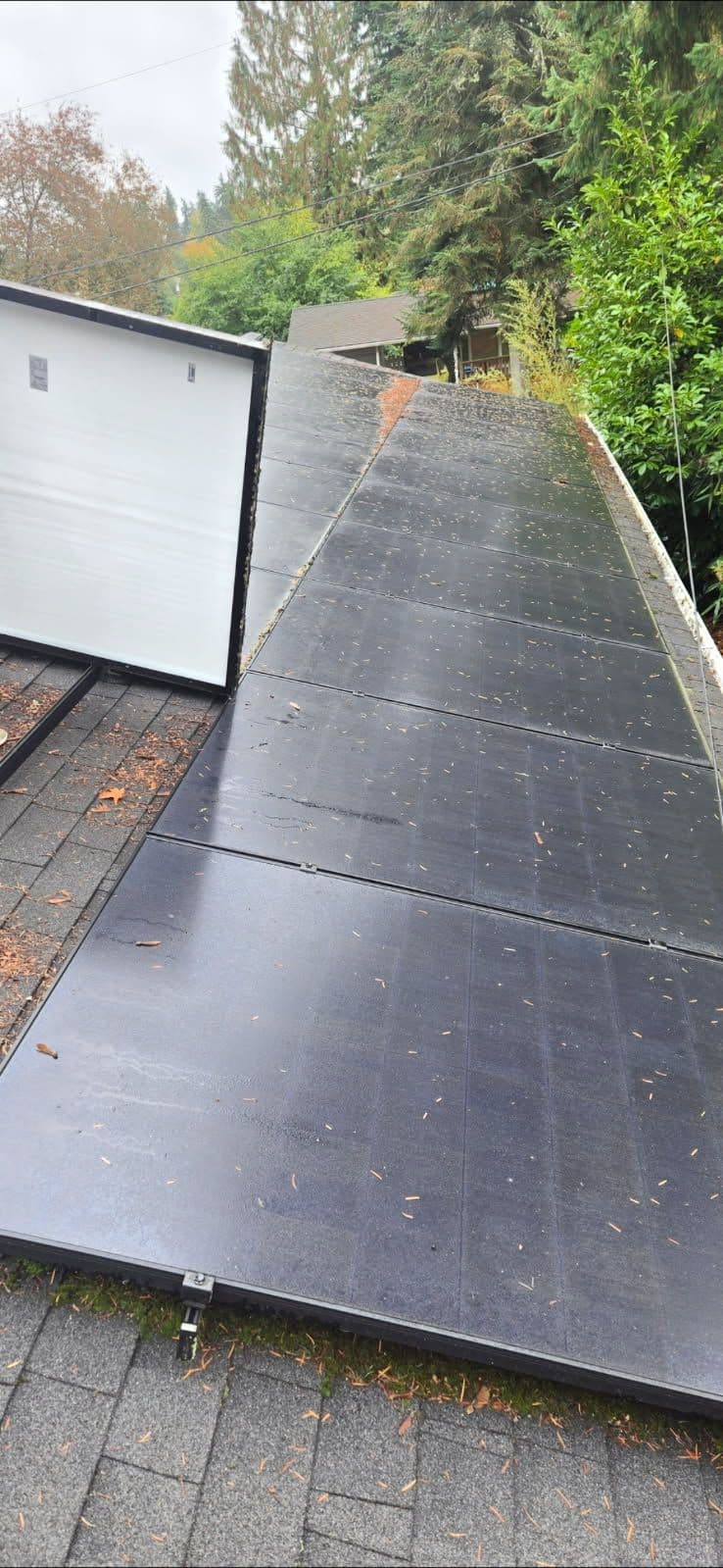 Roof Refreshed and Ready for Solar in Everett image